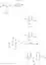 Fig. 11 - Anticancer agent comprising aminoacetonitrile compound as active ingredient