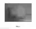 Fig. 02 - PILLOW USING ACORUS GRAMINEUS AND METHOD FOR MANUFACTURING SAME