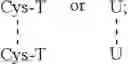 Fig. 02 - Insulin independence among patients with diabetes utilizing an optimized hamster Reg3 gamma peptide