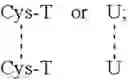 Fig. 02 - Insulin independence among patients with diabetes utilizing an optimized hamster REG3 gamma peptide