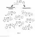 Fig. 07 - Methods for use of small molecule activators of hem-Y / protoporphyrinogen oxidase (PPO)