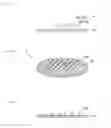 Fig. 02 - Acicular body