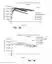 Fig. 22 - Process and device for delivery of fluid by chemical reaction