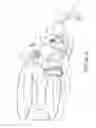 Fig. 22 - BREATHING ASSISTANCE APPARATUS