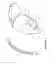 Fig. 04 - Breathing assistance apparatus