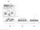 Fig. 01 - EXHAUST GAS PURIFICATION CATALYST AND METHOD FOR PRODUCING IT