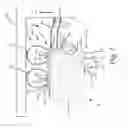 Fig. 08 - Buildable seal for slide-out rooms