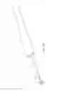 Fig. 13 - Strap with removable hook for rack arrangement mountable to a motor vehicle