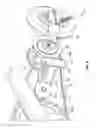 Fig. 09 - In line derailleur