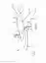 Fig. 02 - VTOL aircraft