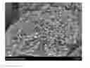 Fig. 01 - Method for manufacturing carbon nanotube agglomerate having controlled bulk density