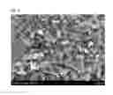 Fig. 03 - Method for manufacturing carbon nanotube agglomerate having controlled bulk density