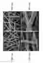Fig. 12 - Piezoelectric-effect-induced heterogeneous electrochemical reactions