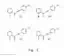 Fig. 02 - COMPOSITION FOR TREATING METABOLIC SYNDROME AND A PREPARATION METHOD THEREOF