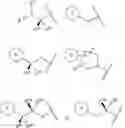 Fig. 32 - Negative allosteric modulators of metabotropic glutamate receptor 2