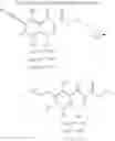 Fig. 52 - Negative allosteric modulators of metabotropic glutamate receptor 2