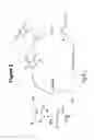 Fig. 03 - CATALYSED LIGATION OF AZIDES AND ACETYLENES