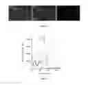 Fig. 02 - Carbon monoxide releasing molecules and associated methods