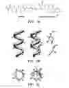 Fig. 10 - Oligooxopiperazines and methods of making and using them