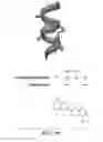Fig. 20 - Oligooxopiperazines and methods of making and using them