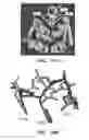 Fig. 22 - Oligooxopiperazines and methods of making and using them