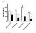 Fig. 08 - Small molecule inhibitors of superoxide dismutase expression