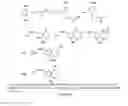 Fig. 08 - Store overload-induced calcium release inhibitors and methods for producing and using the same
