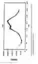 Fig. 07 - CRYSTALLINE AND AMORPHOUS FORMS OF PALONOSETRON HYDROCHLORIDE