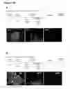 Fig. 10 - Methods and compositions for generating epicardium cells