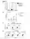Fig. 17 - Methods and compositions for generating epicardium cells