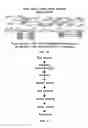 Fig. 27 - FLEXIBLE AND SCALABLE GENOTYPING-BY-SEQUENCING METHODS FOR POPULATION STUDIES
