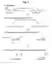 Fig. 08 - Detection of nucleotide variation on target nucleic acid sequence
