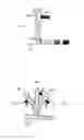 Fig. 53 - Method of crystallization in aqueous plugs flowing in immiscible carrier-fluid in microfluidic system