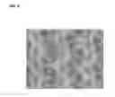 Fig. 05 - WARP KNITTING ELASTIC FABRIC AND METHOD OF FABRICATING THEREFORE