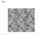 Fig. 06 - WARP KNITTING ELASTIC FABRIC AND METHOD OF FABRICATING THEREFORE