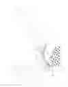 Fig. 06 - SNOW SHOVEL WITH BRUSH ASSEMBLY