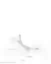 Fig. 07 - SNOW SHOVEL WITH BRUSH ASSEMBLY