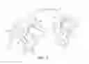 Fig. 09 - Disc brake