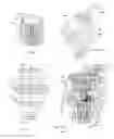 Fig. 06 - Gear drive and actuator arrangement