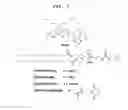 Fig. 02 - Fluorescent Polymer Dots, Methods For Their Preparation, And Uses Thereof