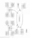 Fig. 02 - Resuming synchronous playback of content