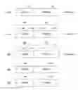 Fig. 01 - Model anti-collusion watermark
