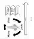 Fig. 04 - Computer implemented methods and systems for generating virtual body models for garment fit visualisation
