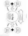 Fig. 15 - Computer implemented methods and systems for generating virtual body models for garment fit visualisation