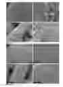 Fig. 09 - LITHIUM-SULFUR ELECTRIC CURRENT PRODUCING CELL