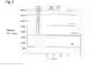 Fig. 03 - CATHODE ACTIVE MATERIAL, POSITIVE ELECTRODE FOR LITHIUM ION SECONDARY BATTERY, AND LITHIUM ION SECONDARY BATTERY