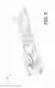 Fig. 09 - MONOPOD FOR WIRELESSLY POWERING AND USING OF ELECTRICAL ACCESSORIES
