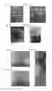 Fig. 02 - METHOD OF REGENERATING RUBBER TREE, METHOD OF PROPAGATING RUBBER TREE, METHOD OF INDUCING SHOOT, METHOD OF ELONGATING SHOOT, METHOD OF ROOTING SHOOT, AND METHOD OF ACCLIMATIZING YOUNG PLANT