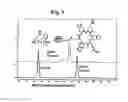 Fig. 02 - Peptoid oligomers, pharmaceutical compositions and methods of using the same