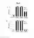 Fig. 07 - Peptoid oligomers, pharmaceutical compositions and methods of using the same